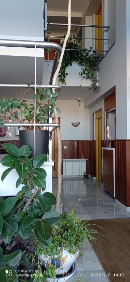 Hotel Narcea Valles  Eksteriør billede